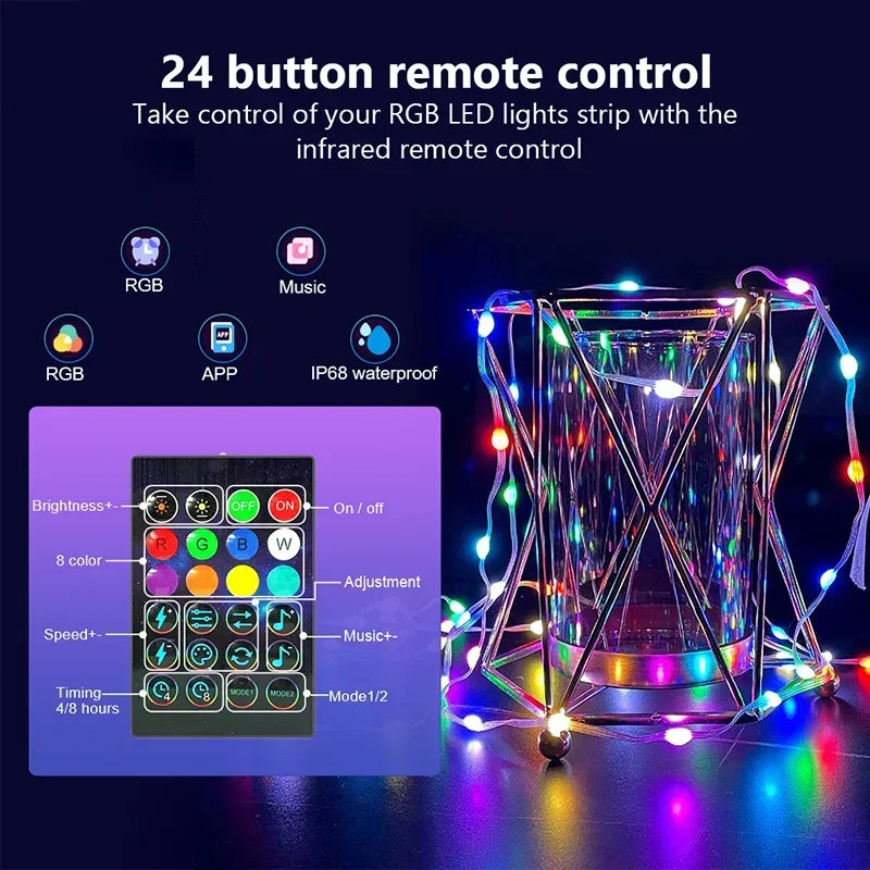 Bluetooth LED Christmas Lights